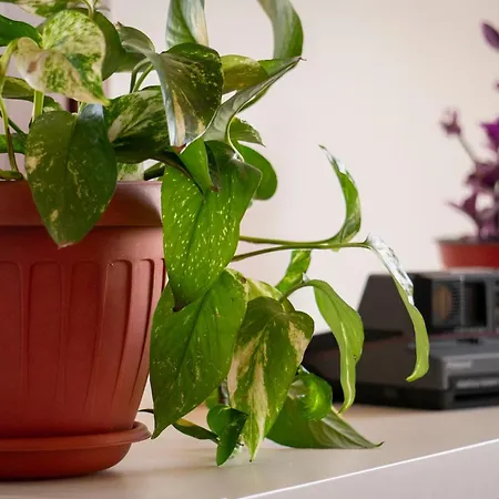 Coliving Together Gargano *