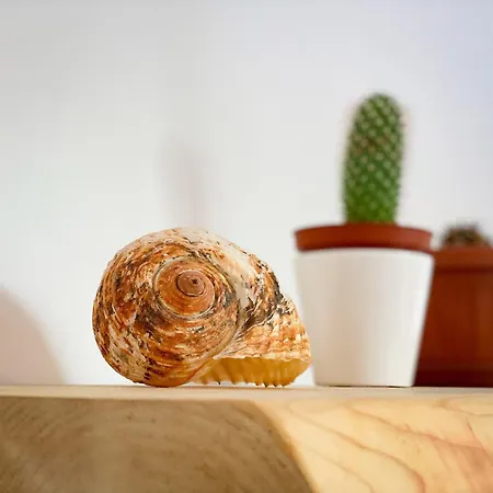 Habitación en casa particular Coliving Together Gargano